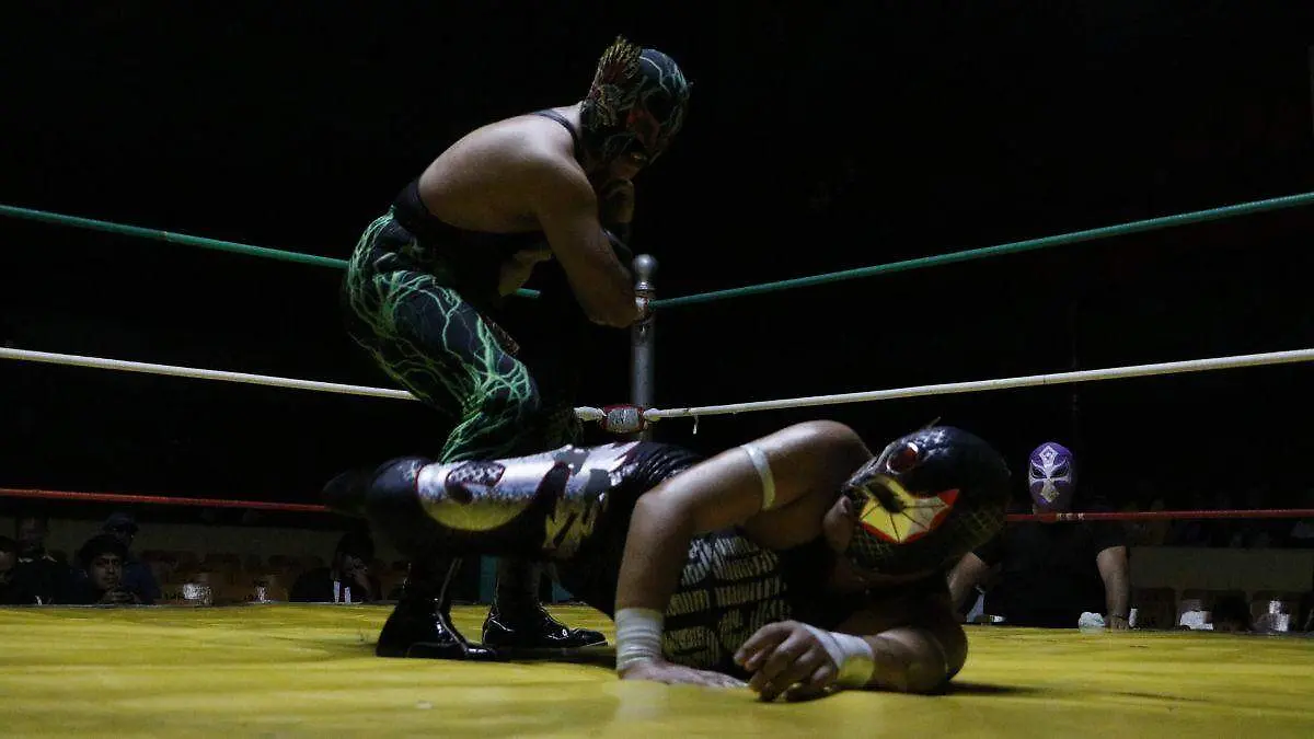 LUCHAS WEB